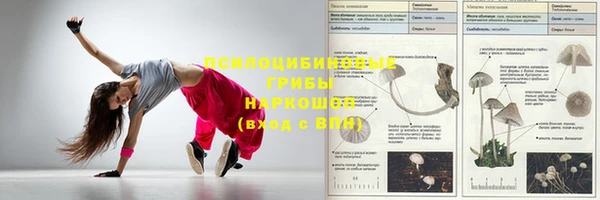 амф Алексин