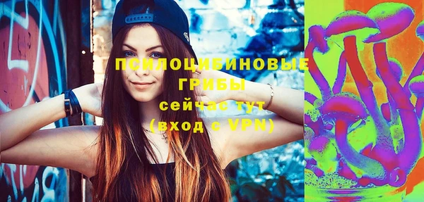 амф Алексин