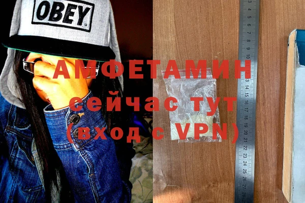 амф Алексин